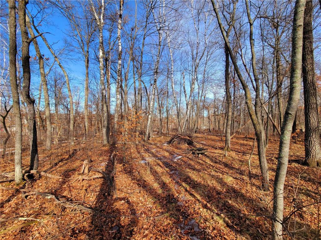 TBD Hillside Pass Drive NE Breezy Point MN 56472 6694332 image1