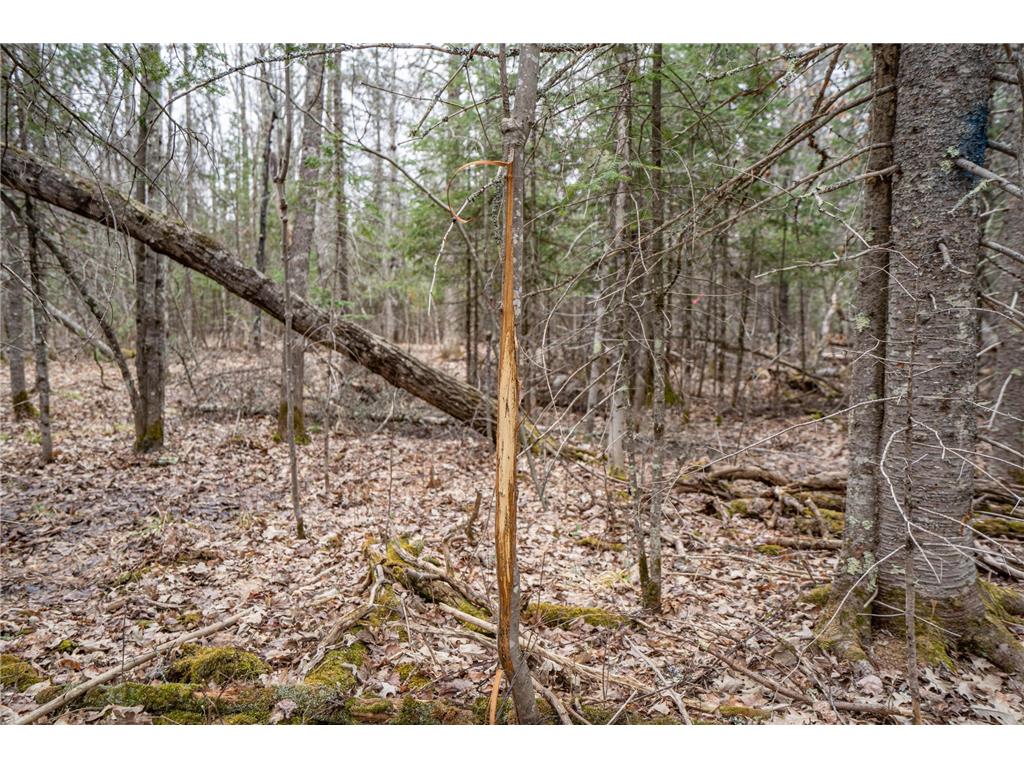 TBD Hokkanen Rd Oulu Twp WI 54847 - Iron River 7067078 image19