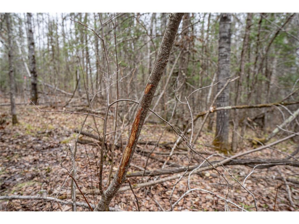 TBD Hokkanen Rd Oulu Twp WI 54847 - Iron River 7067078 image22