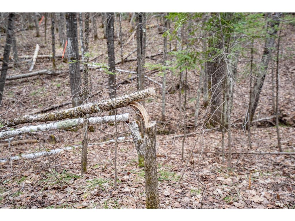 TBD Hokkanen Rd Oulu Twp WI 54847 - Iron River 7067078 image23
