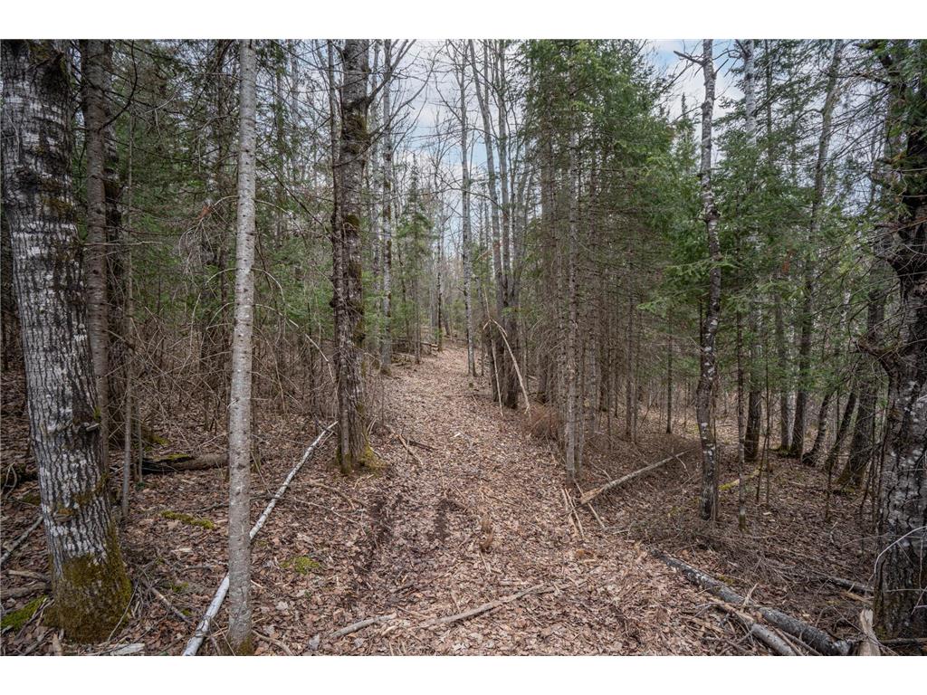 TBD Hokkanen Rd Oulu Twp WI 54847 - Iron River 7067078 image25