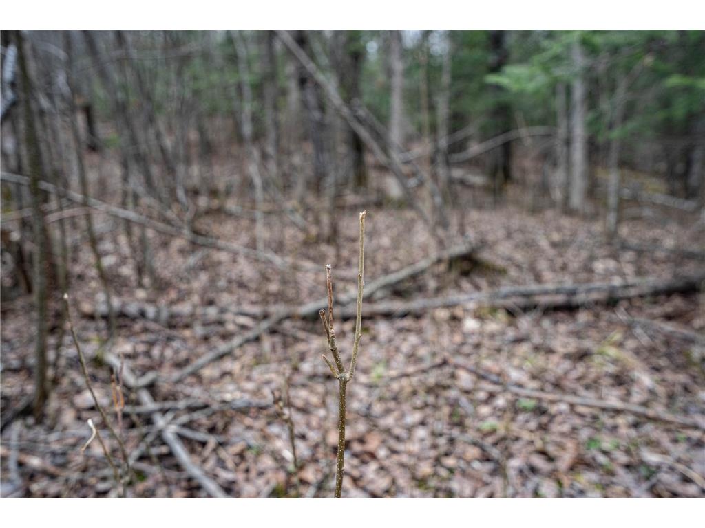 TBD Hokkanen Rd Oulu Twp WI 54847 - Iron River 7067078 image26