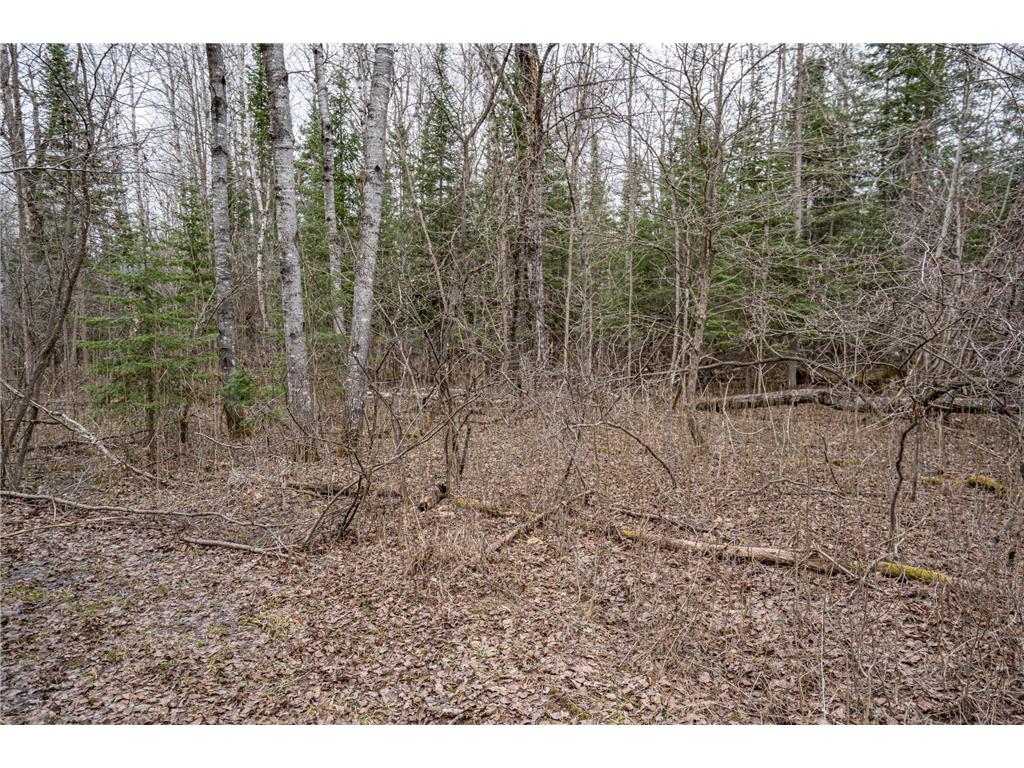 TBD Hokkanen Rd Oulu Twp WI 54847 - Iron River 7067078 image27