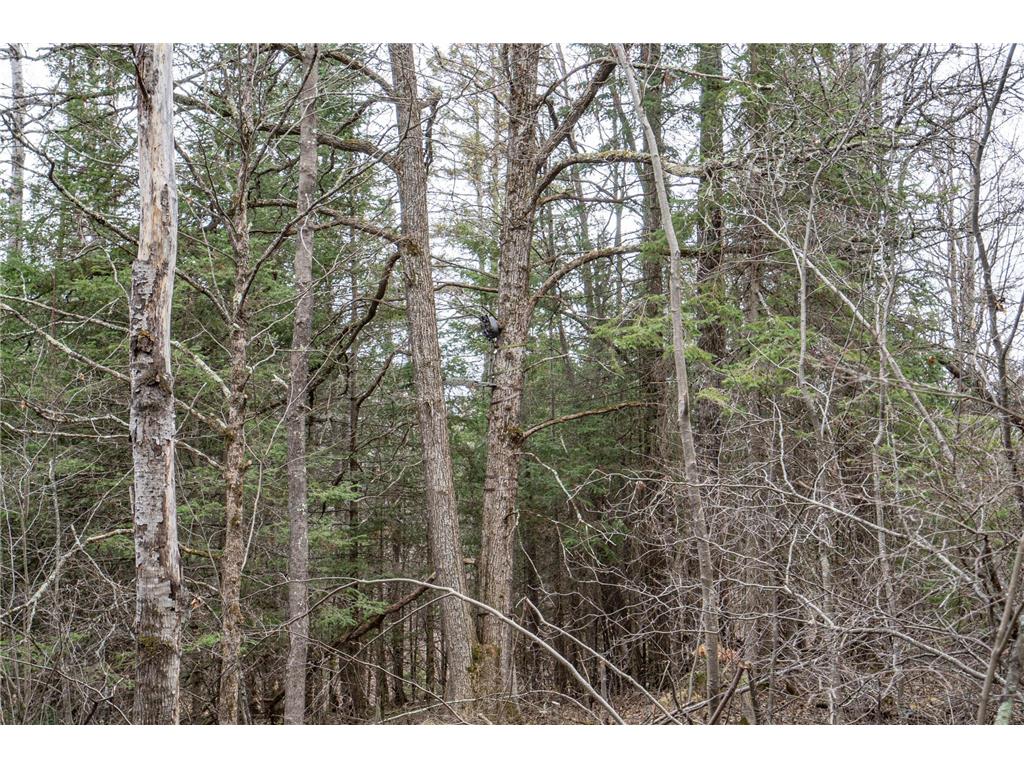 TBD Hokkanen Rd Oulu Twp WI 54847 - Iron River 7067078 image28