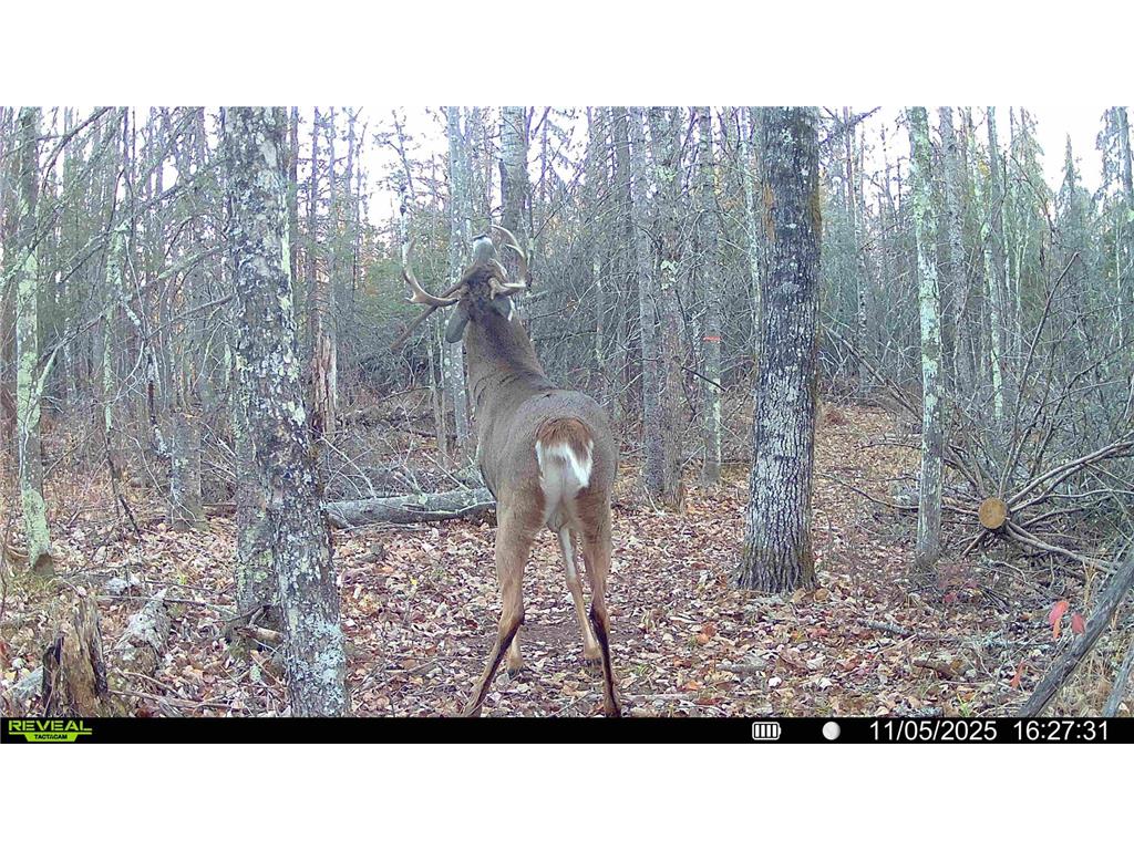 TBD Hokkanen Rd Oulu Twp WI 54847 - Iron River 7067078 image3