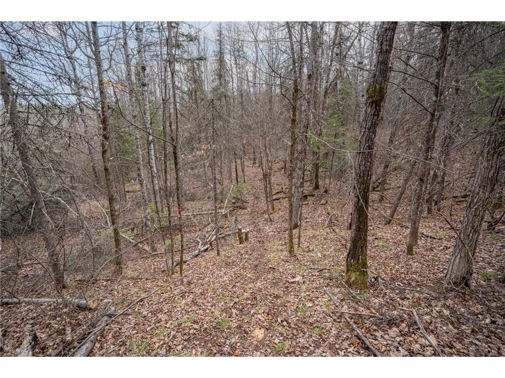 TBD Hokkanen Rd Oulu Twp WI 54847 - Iron River 7067078 image31