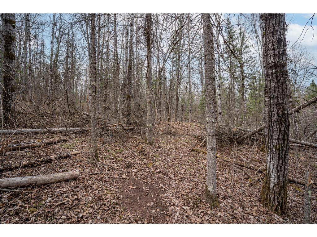 TBD Hokkanen Rd Oulu Twp WI 54847 - Iron River 7067078 image32