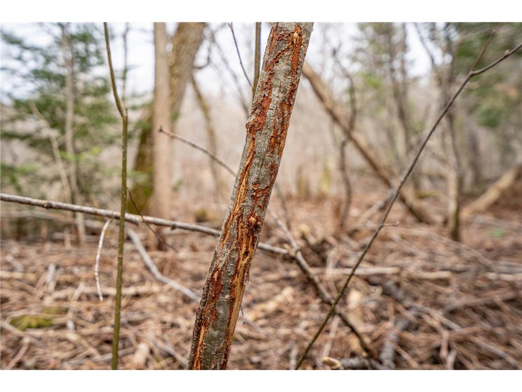 TBD Hokkanen Rd Oulu Twp WI 54847 - Iron River 7067078 image33