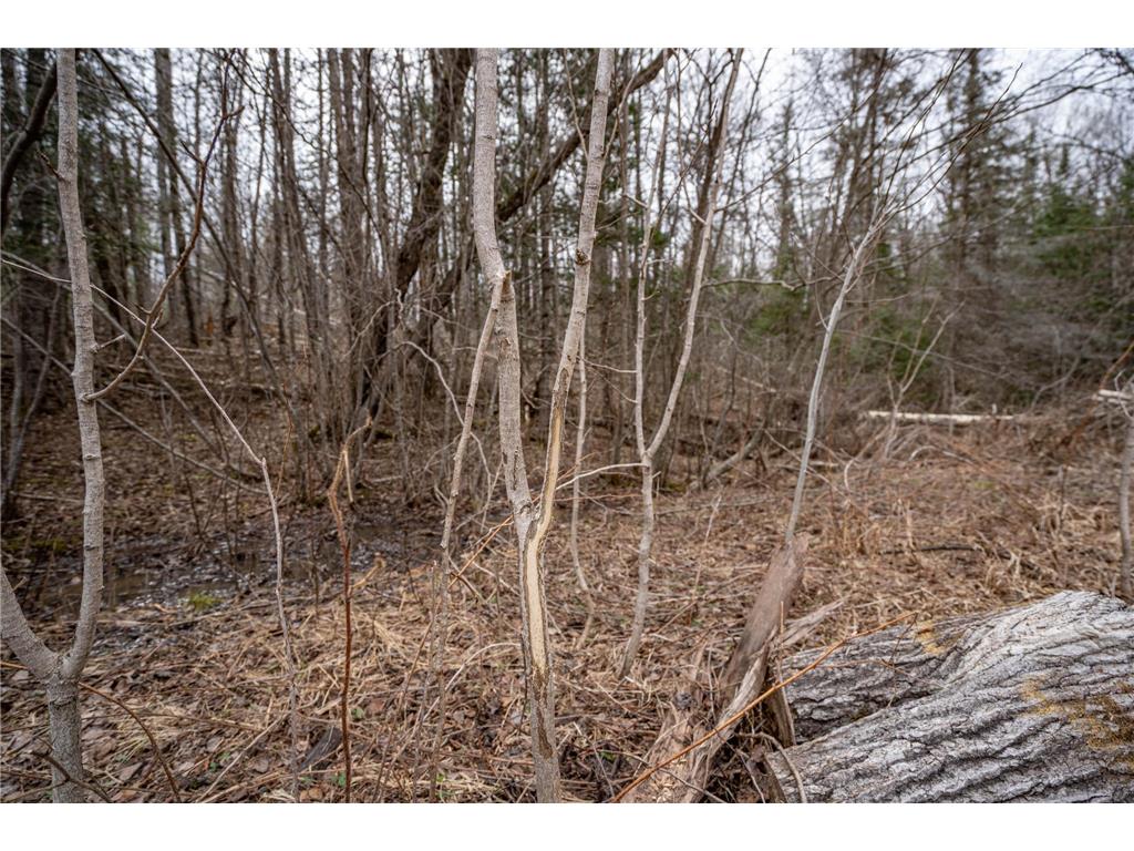 TBD Hokkanen Rd Oulu Twp WI 54847 - Iron River 7067078 image34