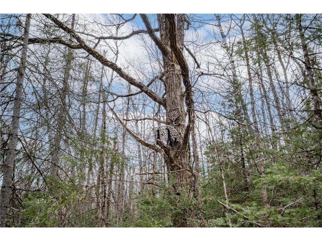 TBD Hokkanen Rd Oulu Twp WI 54847 - Iron River 7067078 image41