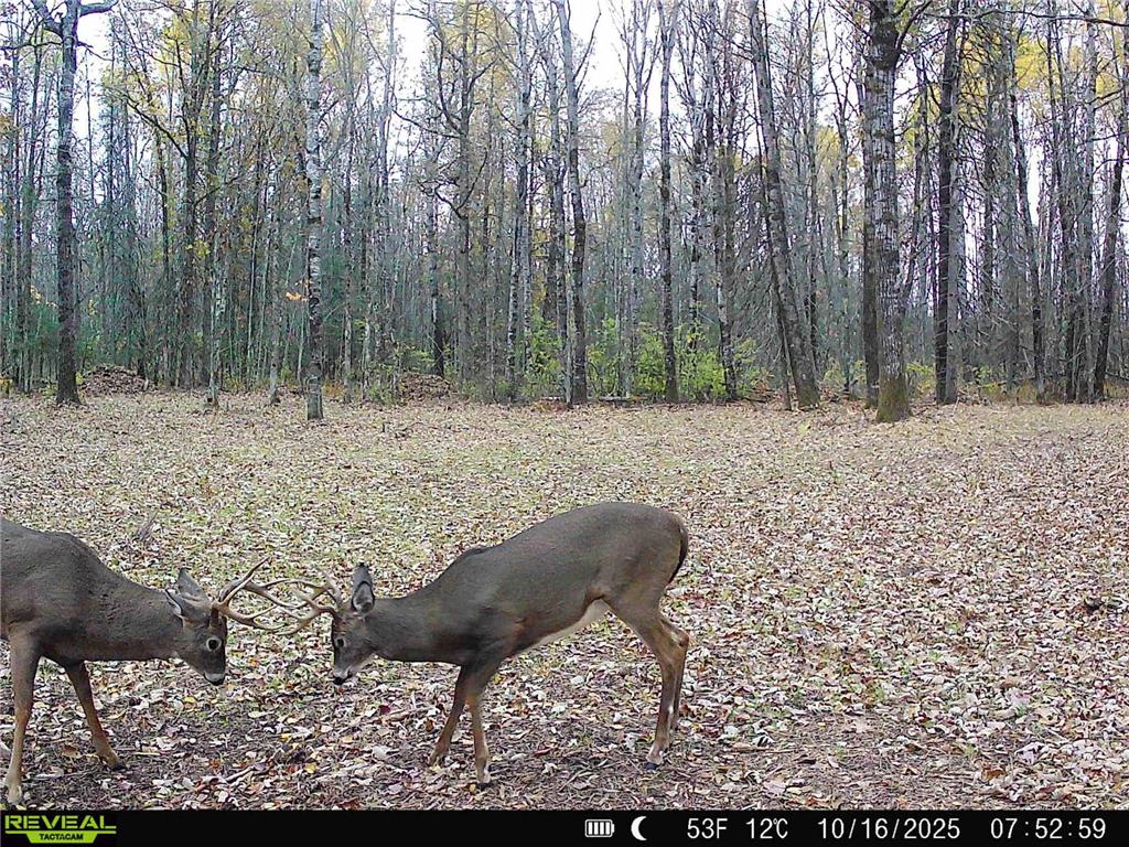 TBD Hokkanen Rd Oulu Twp WI 54847 - Iron River 7067078 image46