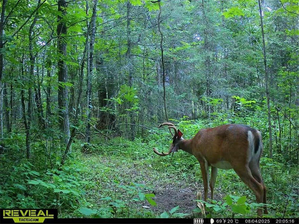 TBD Hokkanen Rd Oulu Twp WI 54847 - Iron River 7067078 image49