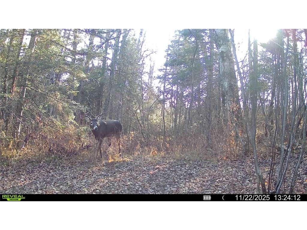 TBD Hokkanen Rd Oulu Twp WI 54847 - Iron River 7067078 image50