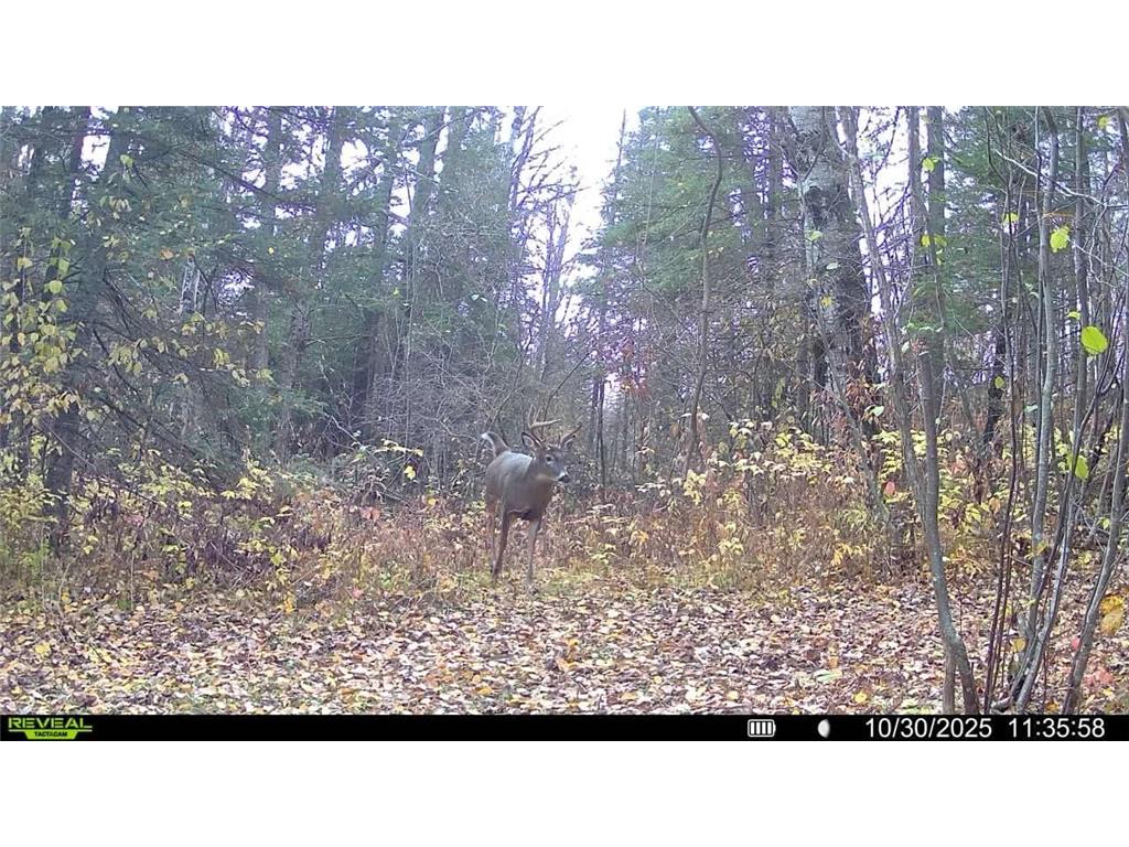TBD Hokkanen Rd Oulu Twp WI 54847 - Iron River 7067078 image52
