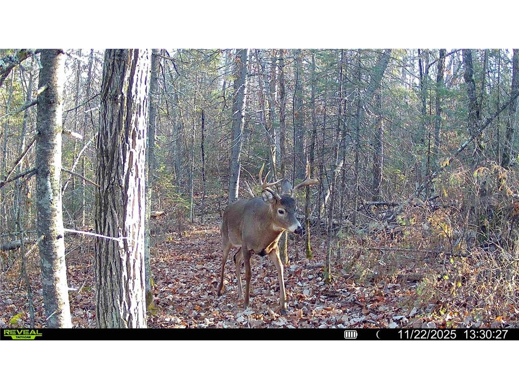 TBD Hokkanen Rd Oulu Twp WI 54847 - Iron River 7067078 image53
