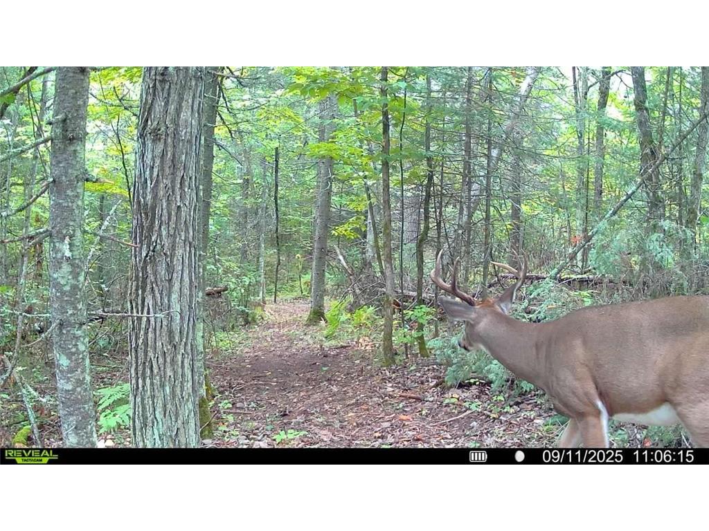 TBD Hokkanen Rd Oulu Twp WI 54847 - Iron River 7067078 image54