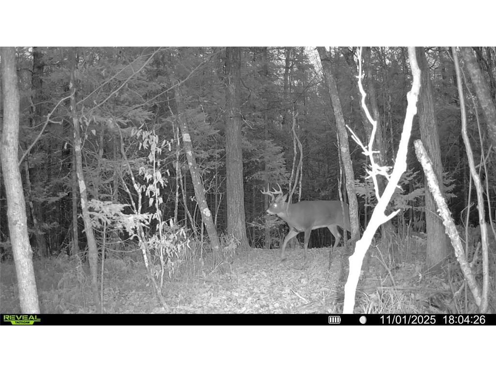 TBD Hokkanen Rd Oulu Twp WI 54847 - Iron River 7067078 image55