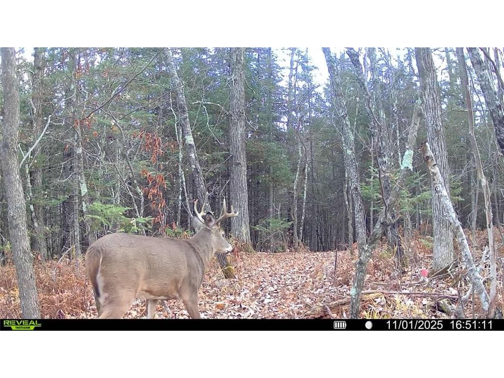 TBD Hokkanen Rd Oulu Twp WI 54847 - Iron River 7067078 image56