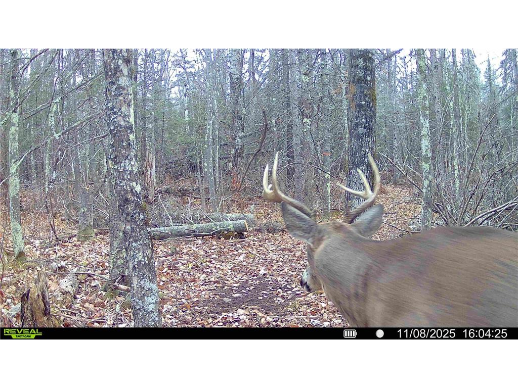 TBD Hokkanen Rd Oulu Twp WI 54847 - Iron River 7067078 image57