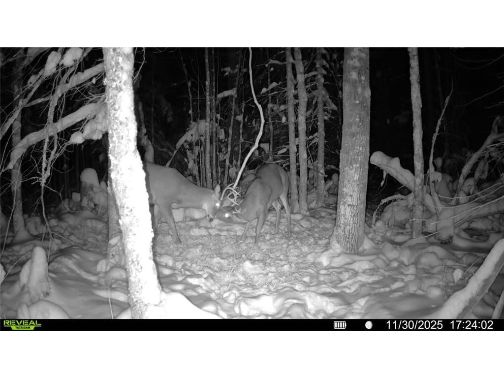 TBD Hokkanen Rd Oulu Twp WI 54847 - Iron River 7067078 image58