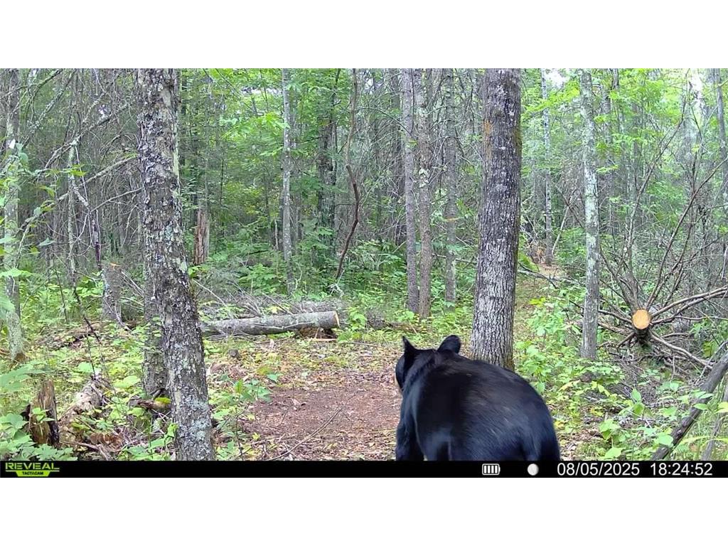 TBD Hokkanen Rd Oulu Twp WI 54847 - Iron River 7067078 image59