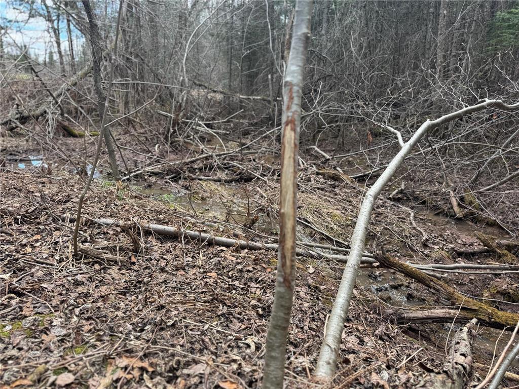 TBD Hokkanen Rd Oulu Twp WI 54847 - Iron River 7067078 image6