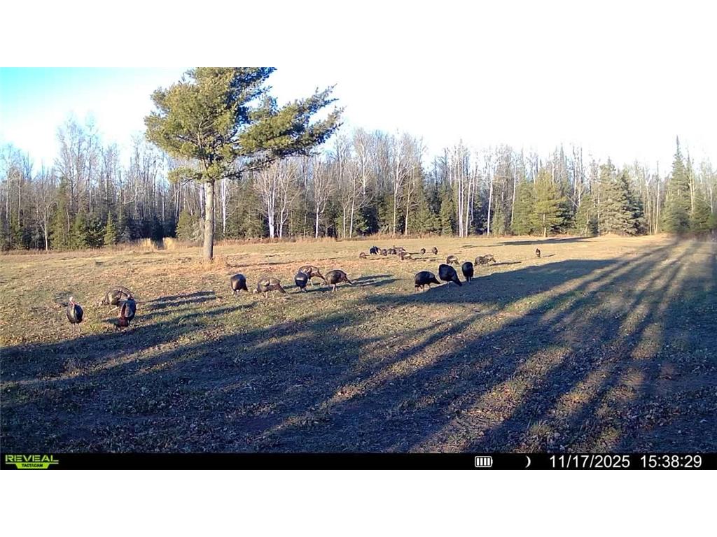 TBD Hokkanen Rd Oulu Twp WI 54847 - Iron River 7067078 image60