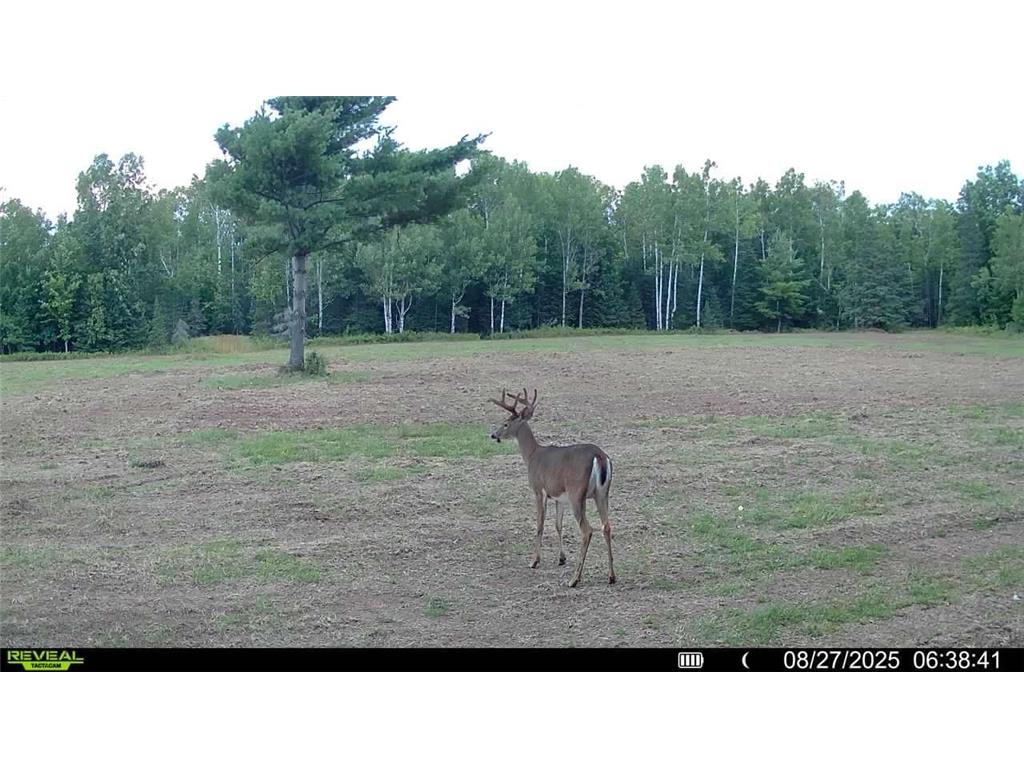 TBD Hokkanen Rd Oulu Twp WI 54847 - Iron River 7067078 image61