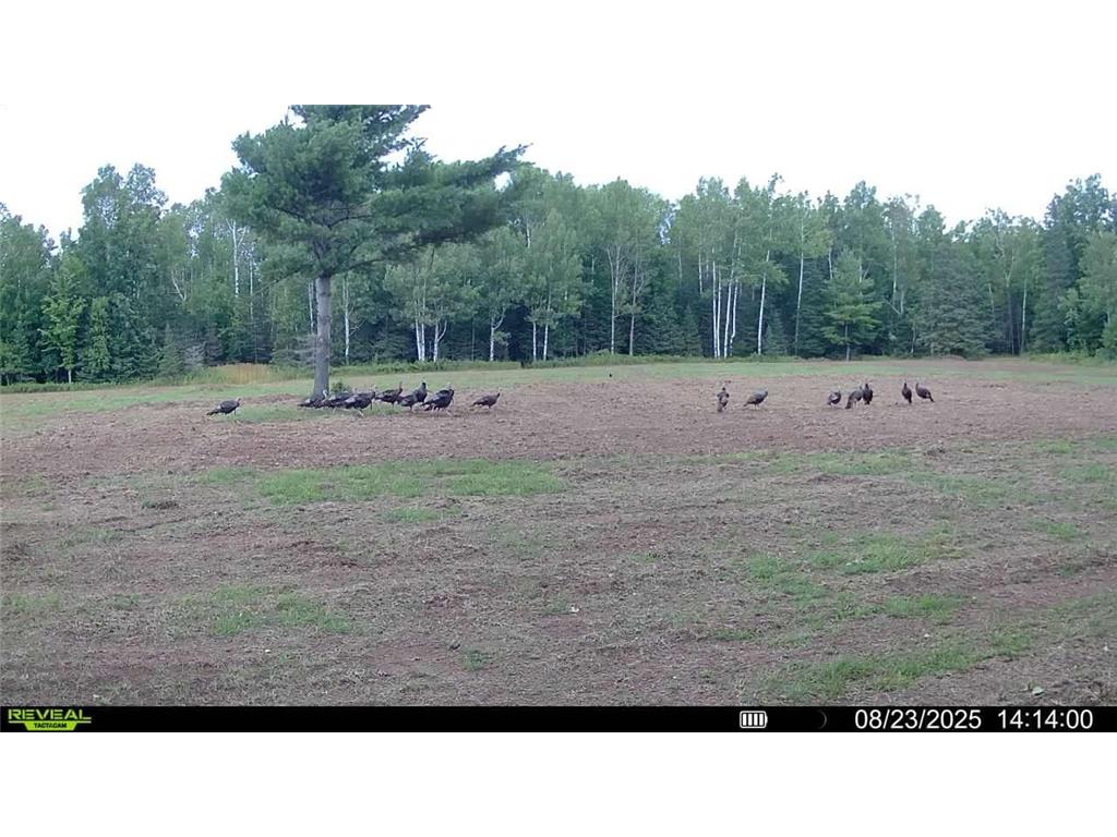 TBD Hokkanen Rd Oulu Twp WI 54847 - Iron River 7067078 image62
