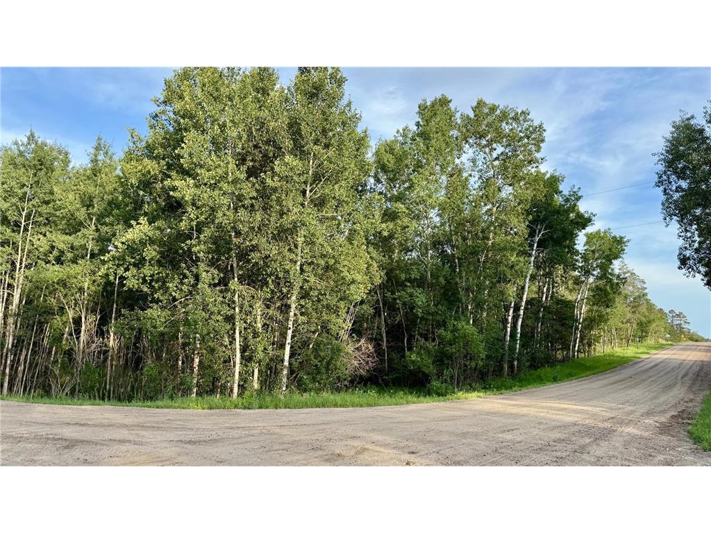 TBD Holly Road Park Rapids MN 56470 6753002 image1