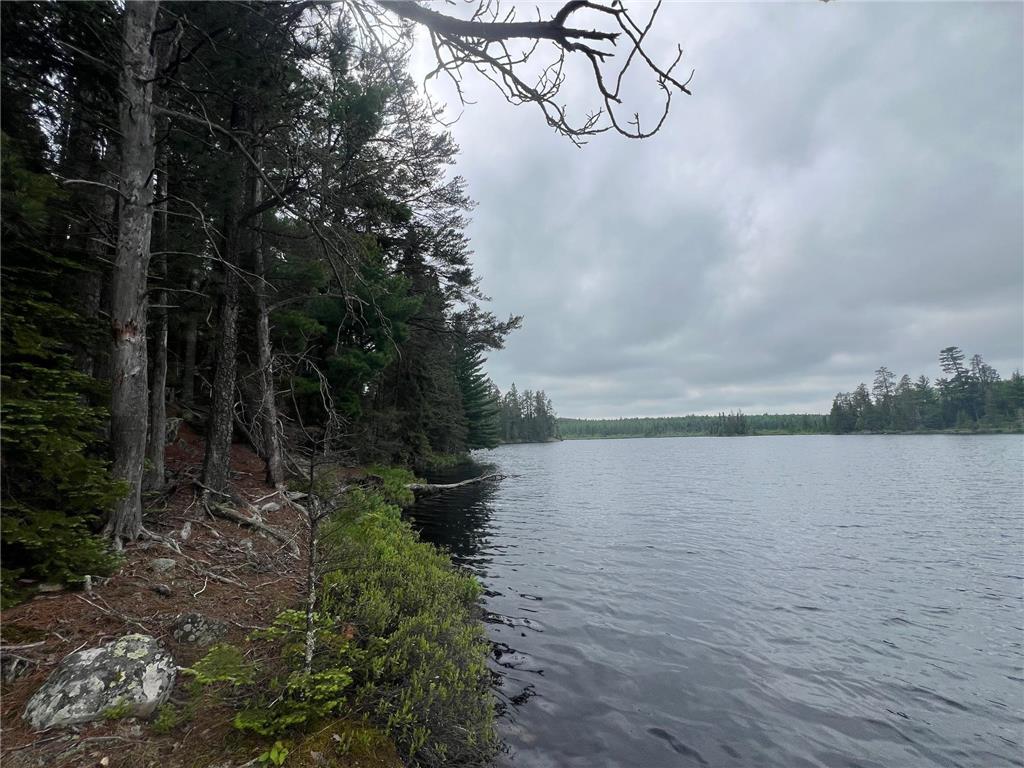 TBD Holm Logging Road Cook MN 55723 - Section Thirty 6735320 image10