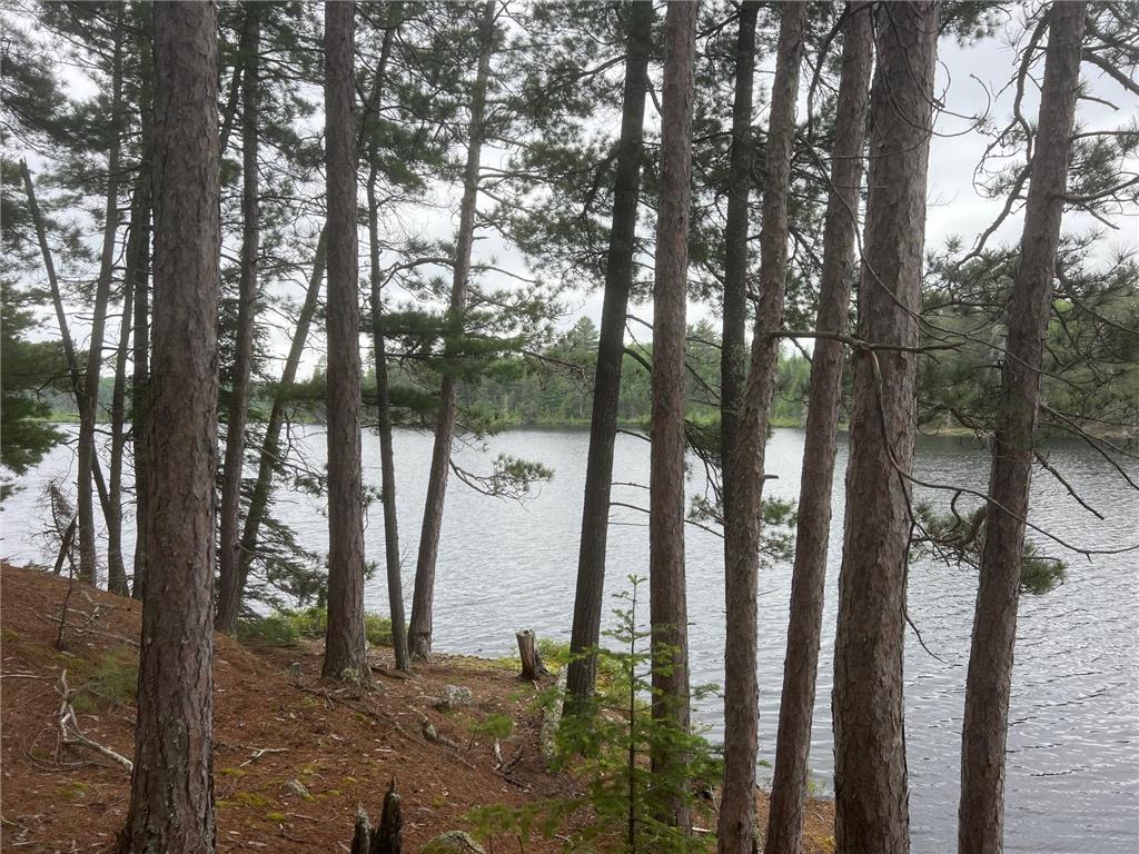 TBD Holm Logging Road Cook MN 55723 - Section Thirty 6735320 image12