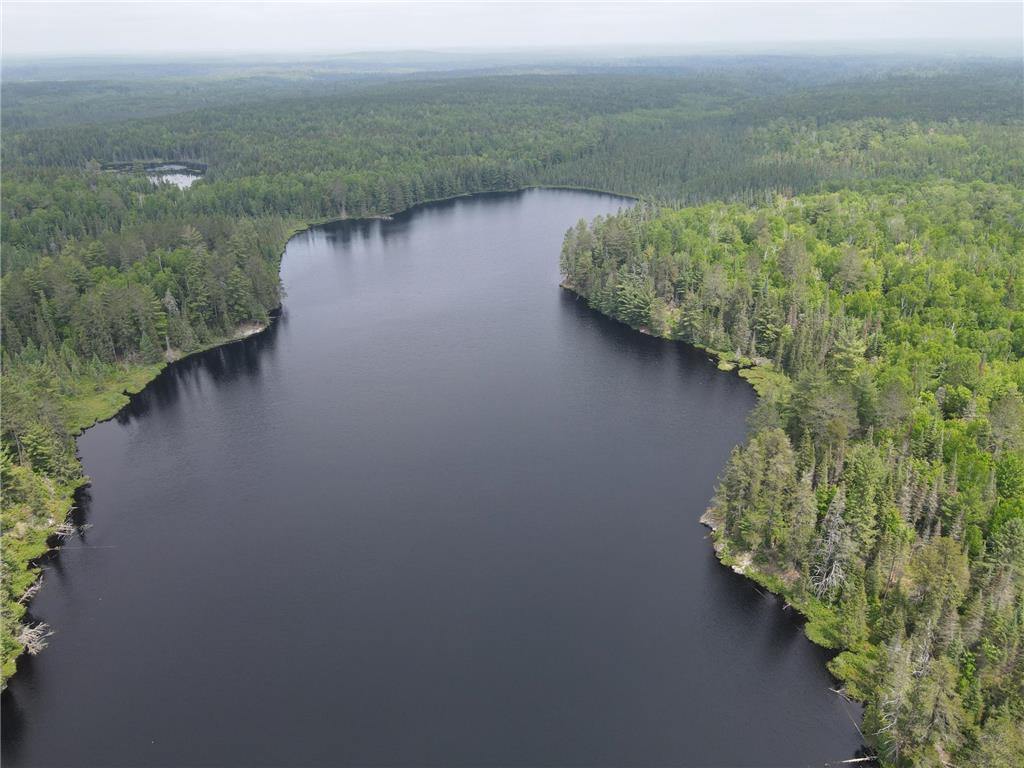 TBD Holm Logging Road Cook MN 55723 - Section Thirty 6735320 image2