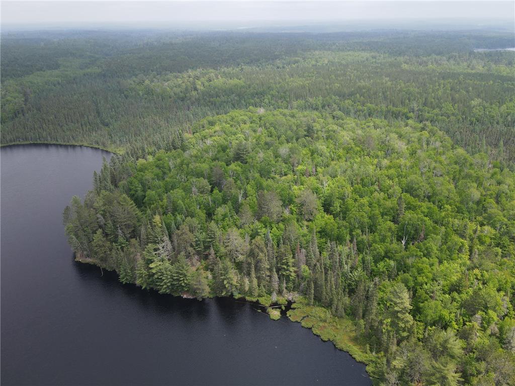 TBD Holm Logging Road Cook MN 55723 - Section Thirty 6735320 image3