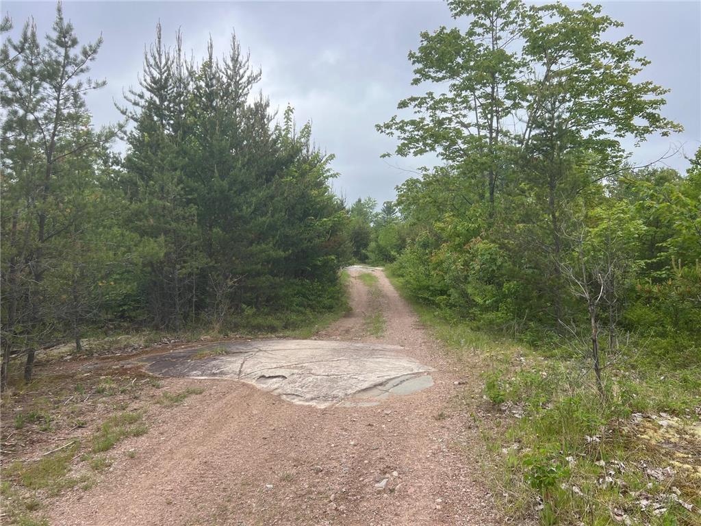 TBD Holm Logging Road Cook MN 55723 - Section Thirty 6735320 image34