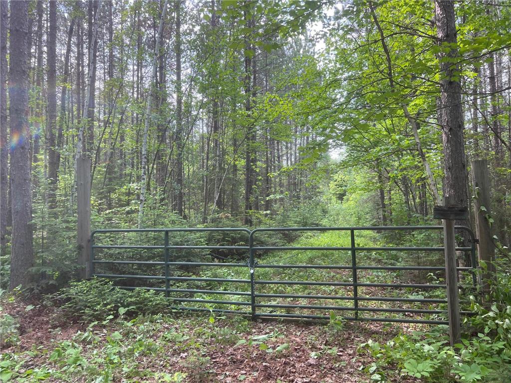 TBD Holm Logging Road Cook MN 55723 - Section Thirty 6735320 image38