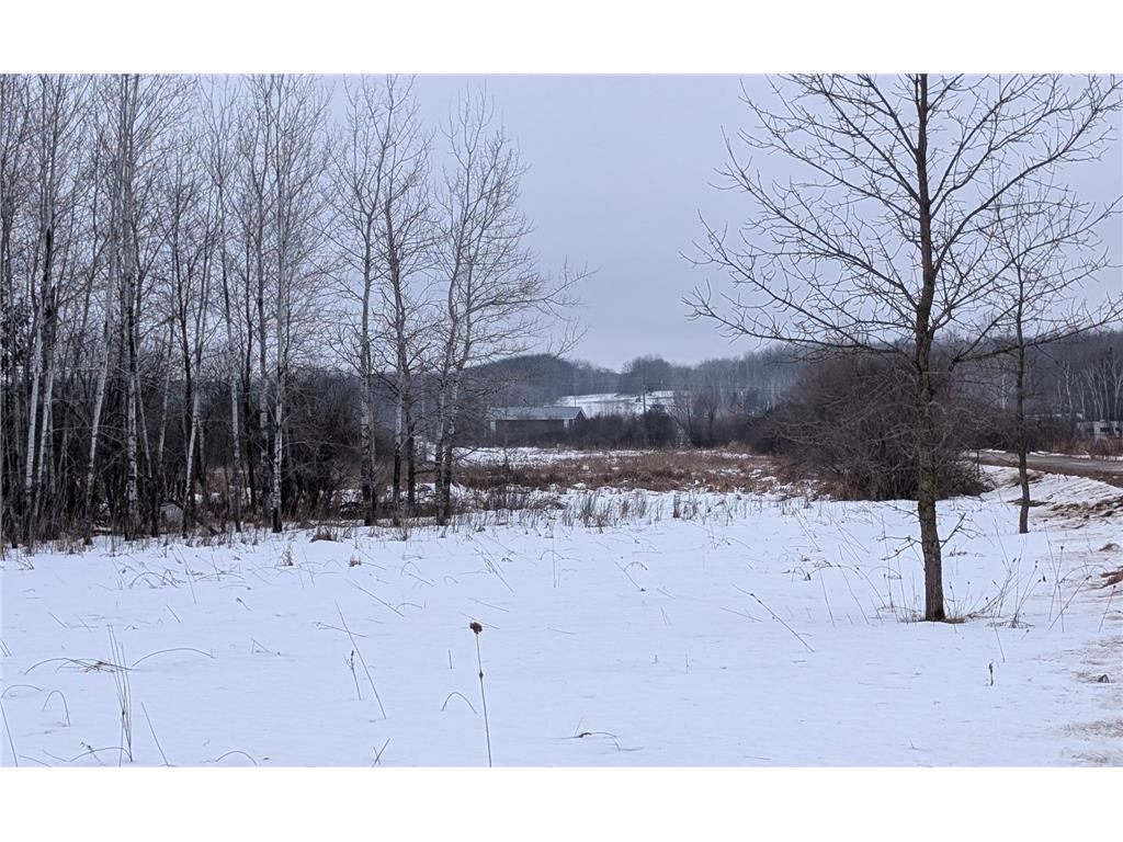 TBD Hummingbird Road Bruce Twp MN 56347 7002813 image2