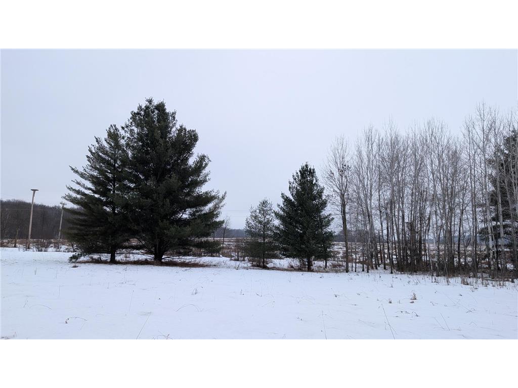 TBD Hummingbird Road Bruce Twp MN 56347 7002813 image3