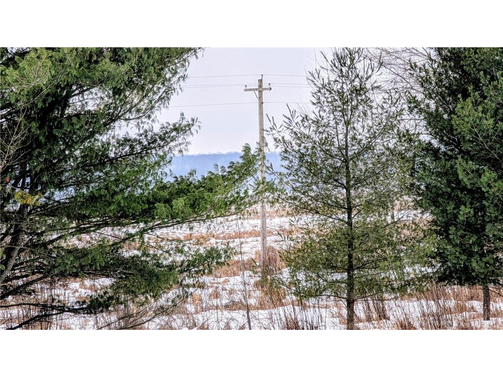TBD Hummingbird Road Bruce Twp MN 56347 7002813 image4