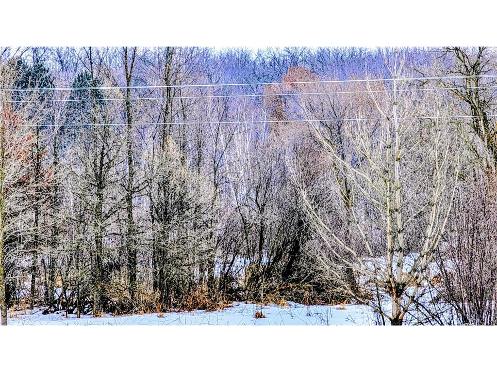 TBD Hummingbird Road Bruce Twp MN 56347 7002813 image5