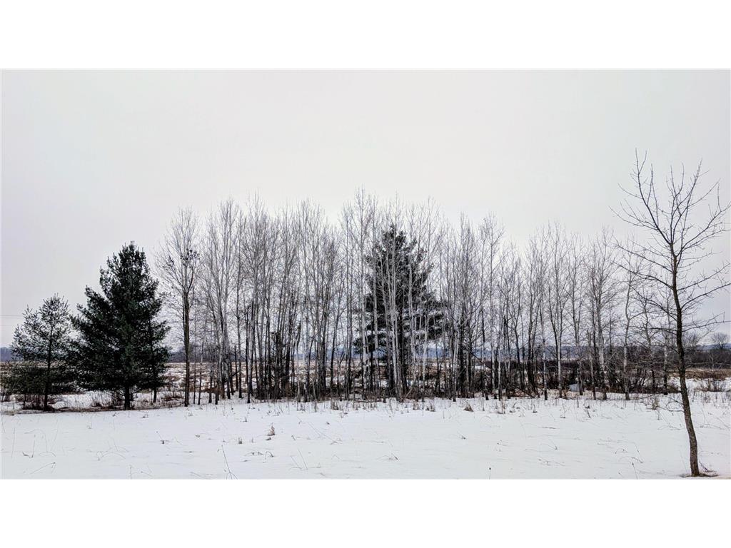 TBD Hummingbird Road Bruce Twp MN 56347 7002813 image6