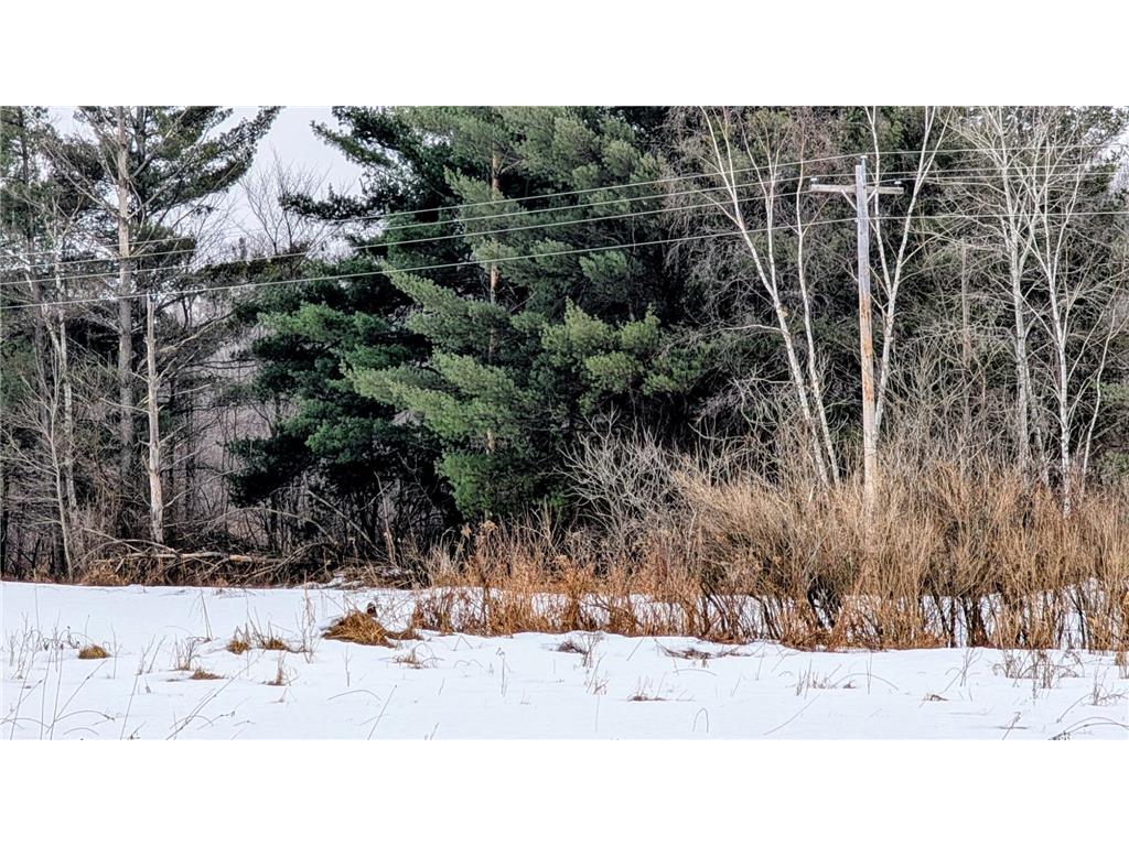 TBD Hummingbird Road Bruce Twp MN 56347 7002813 image7