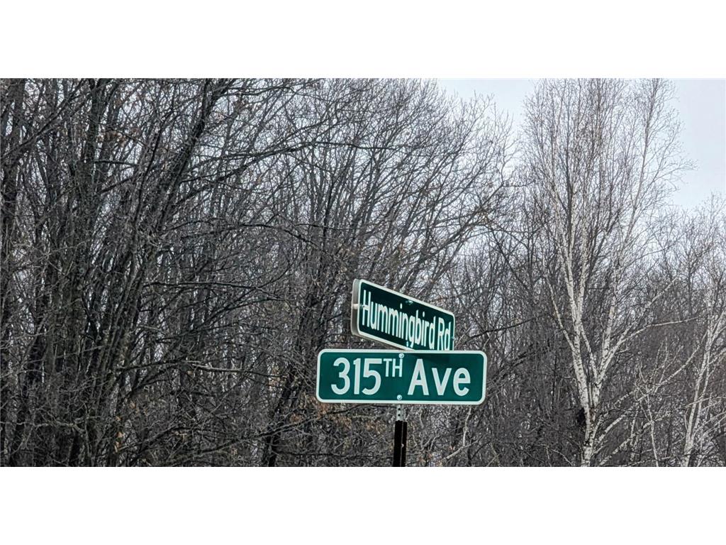TBD Hummingbird Road Bruce Twp MN 56347 7002813 image8