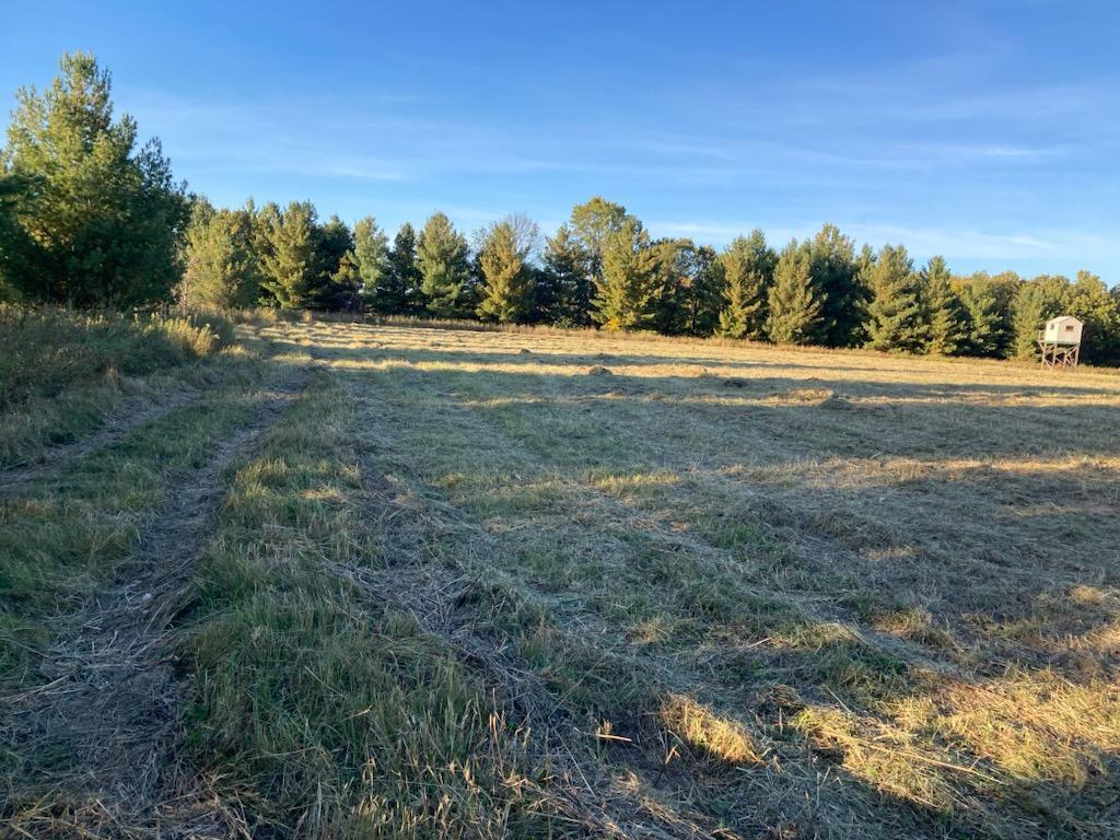 TBD Hummingbird Road Royalton Twp MN 55006 7092437 image10