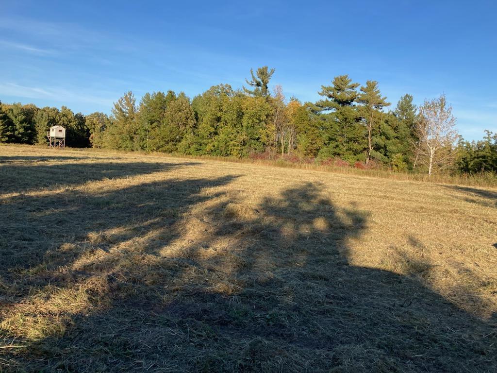 TBD Hummingbird Road Royalton Twp MN 55006 7092437 image11