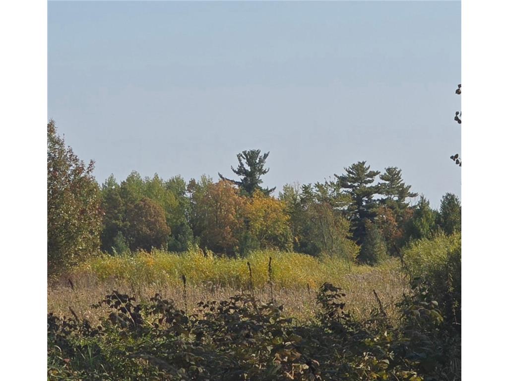 TBD Hummingbird Road Royalton Twp MN 55006 7092437 image13