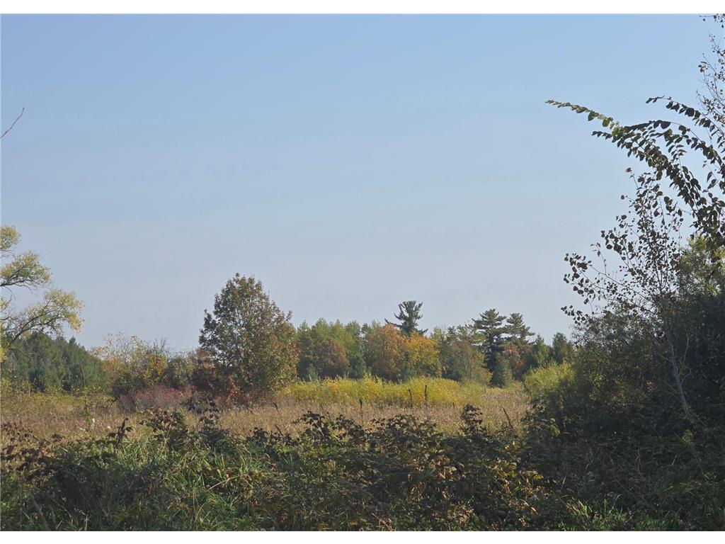 TBD Hummingbird Road Royalton Twp MN 55006 7092437 image16