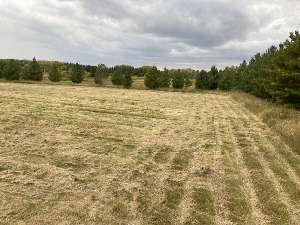 TBD Hummingbird Road Royalton Twp MN 55006 7092437 image17