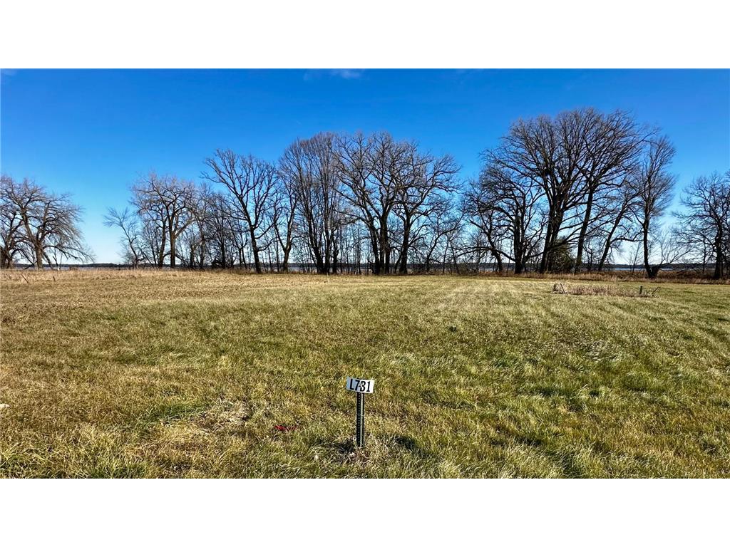 TBD Hummingbird Way Alexandria MN 56308 - Mary Lake 6823603 image1