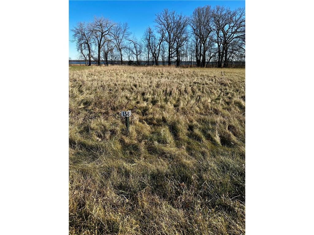 TBD Hummingbird Way Alexandria MN 56308 - Mary Lake 6823603 image19